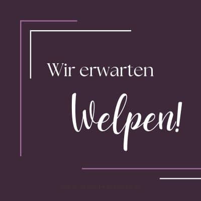 Welpen erwartet!